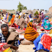 Food Security: Nourishing Communities